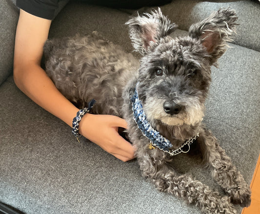 ペットペア＜dog collar & bracelet＞ブルー